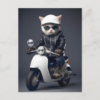 Carte Postale Félicitations Kitty Scooter Cool