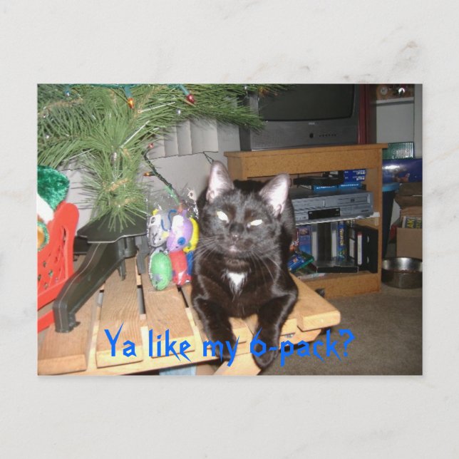 Carte Postale Feline 6 pack (Devant)