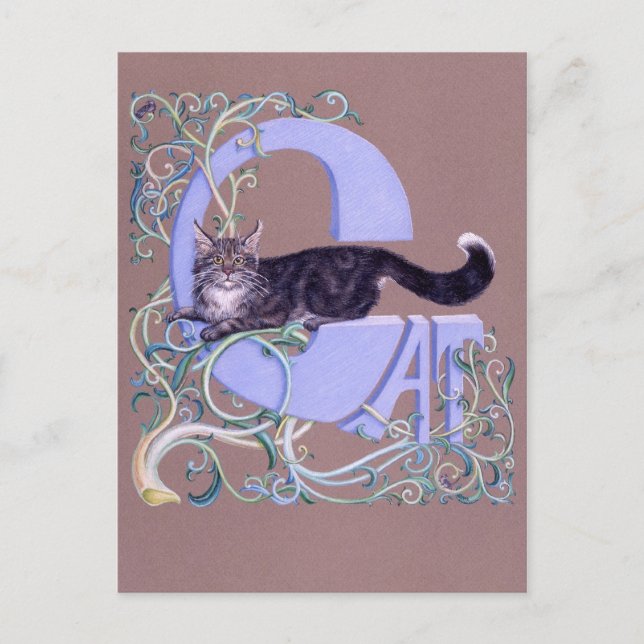 Carte Postale Felis Illumine (Devant)