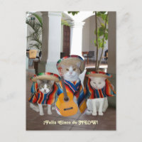 Feliz Cinco de Mayo