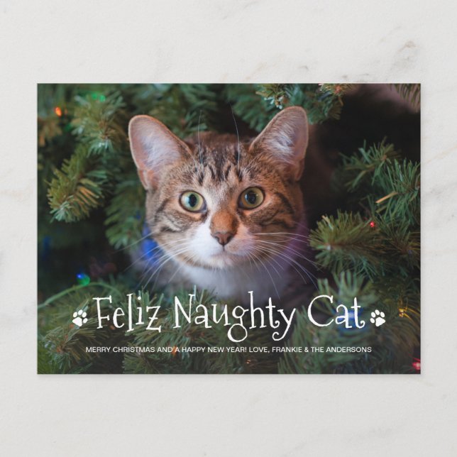 Carte Postale Feliz Naughty Chat Funny Personnalisé Animaux de c (Devant)