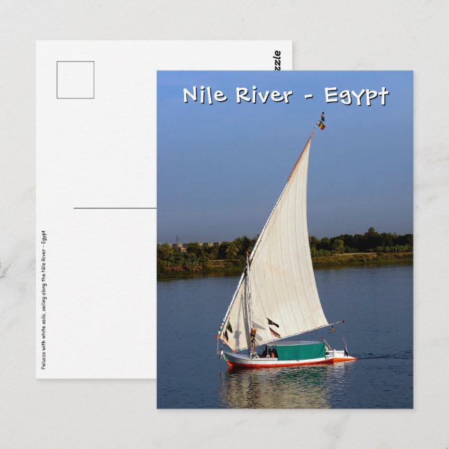 Carte Postale Felucca le long du Nil - Assouan, Egypte (Devant / Derrière)