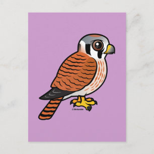 Carte Postale Femelle américaine Kestrel