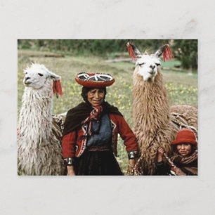 Carte Postale Femme quechua avec deux lamas Photo