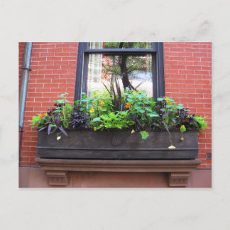 Carte Postale Fenêtre Brooklyn