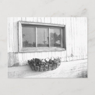 Carte Postale Fenêtre de porte de grange / Photographie noir et 