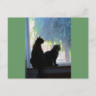 Carte Postale Fenêtre regardant Kitties