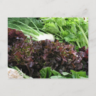 Carte Postale Fennel et laitue