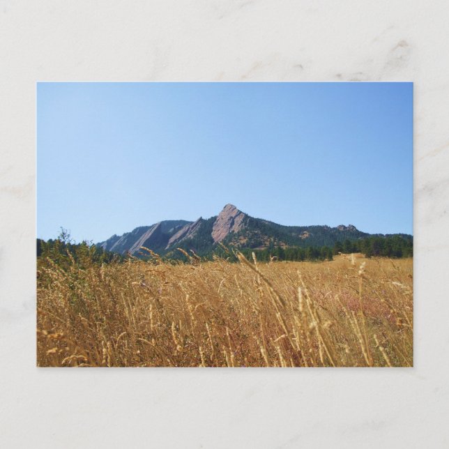 Carte Postale Fer plat (Devant)