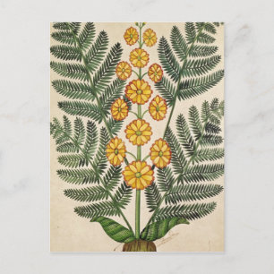 Carte Postale Ferme aux fleurs jaunes