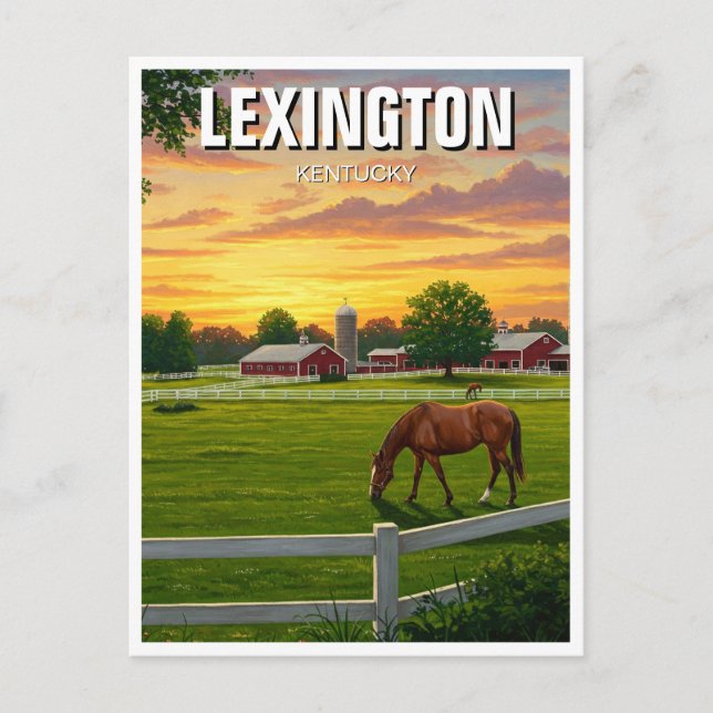 Carte Postale Ferme Cheval Lexington Kentucky (Devant)
