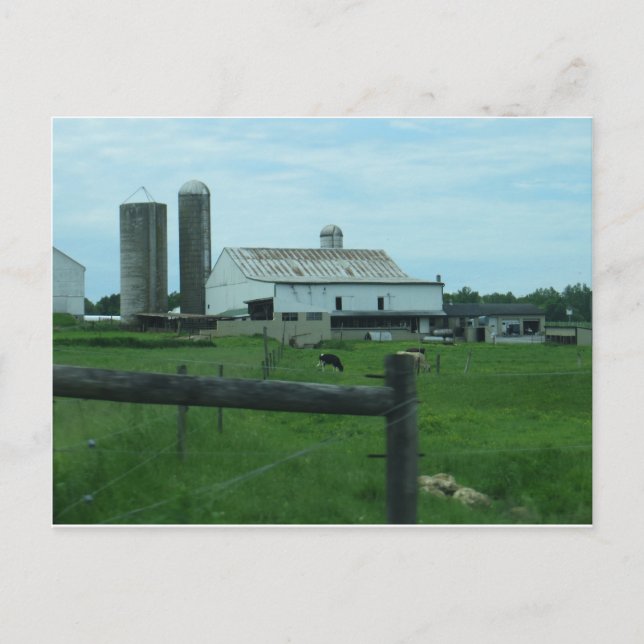 Carte Postale Ferme du comté de Lancaster (Devant)