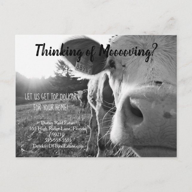 Carte Postale ferme vache référencement immobilier marketing ven (Devant)