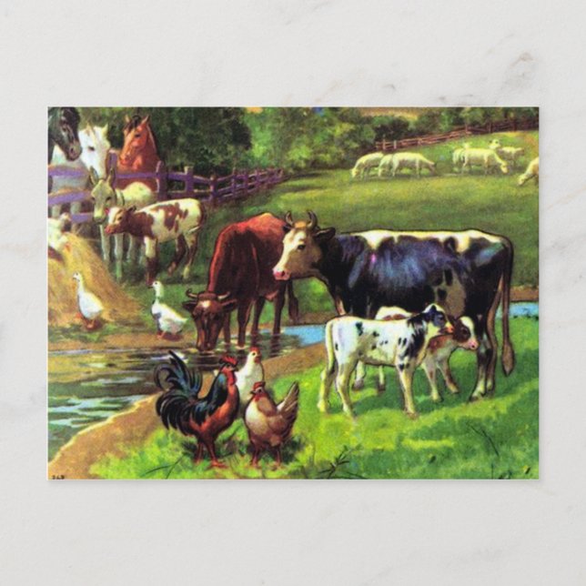 Carte Postale Ferme vintage (Devant)