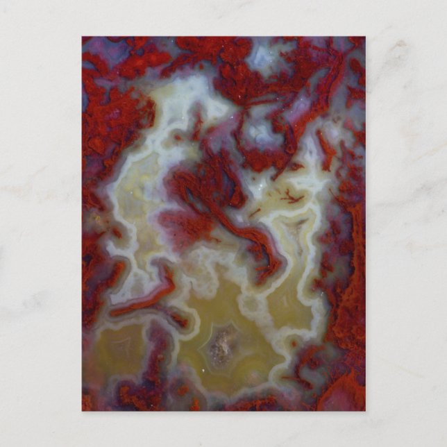 Carte Postale Fermer la dalle d'agate de la mousse rouge (Devant)