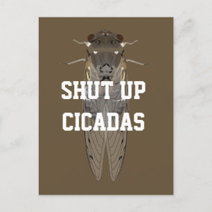 Carte Postale Fermer les Cicadas