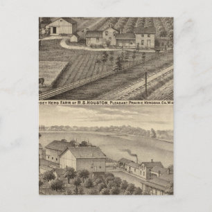 Carte Postale Fermes laitières de RS Houston et WC White
