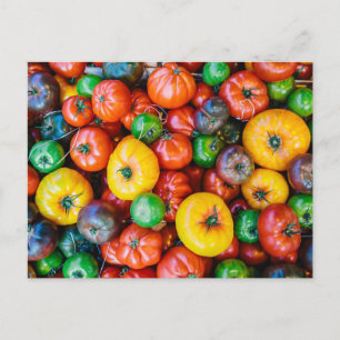 Carte Postale Fermes Récolte colorée de tomates