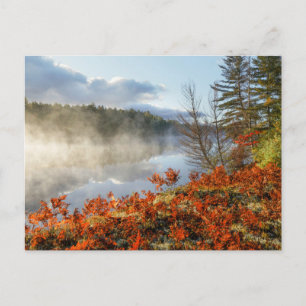 Carte Postale Fermes sur rivage   Paradise, Michigan