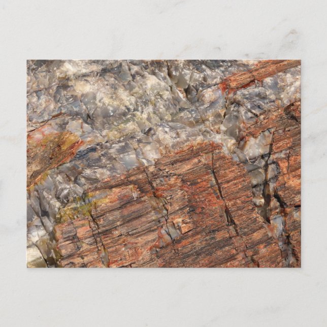 Carte Postale Fermeture du journal pétrifié I (Devant)