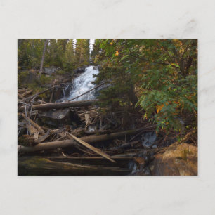 Carte Postale Fern Falls à Rocky Mountain National Park
