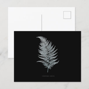Carte Postale Fern - Gymnogramma Ochracea - Effet rayons X - 02