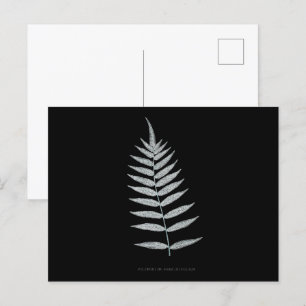 Carte Postale Ferne - Polypodyum Fraxinifolium - Effet de rayons