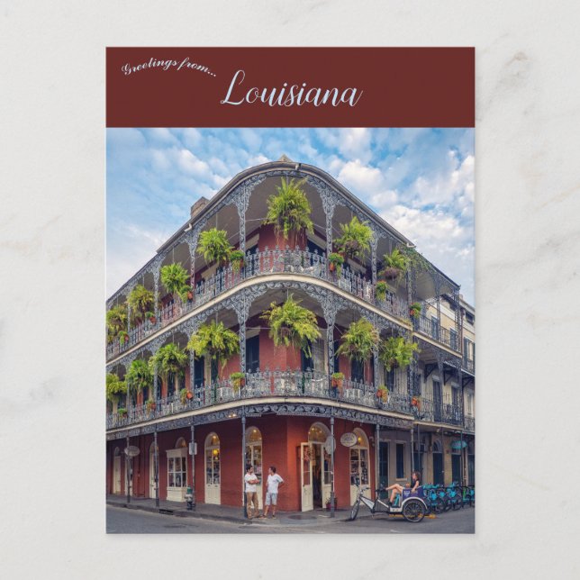 Carte Postale Ferns dans le quartier français Nouvelle-Orléans L (Devant)