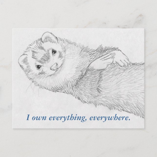 Carte postale Ferret - Pandora Owns (Devant)
