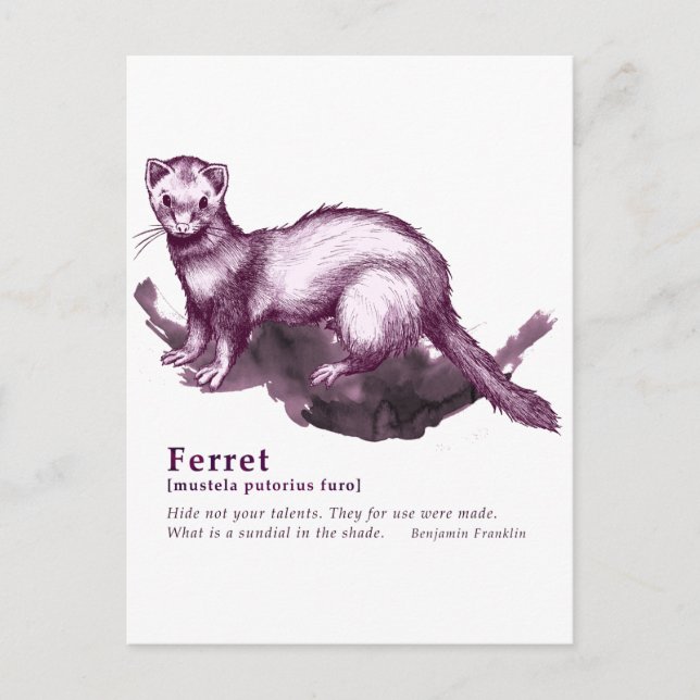 Carte Postale Ferret - vin (Devant)