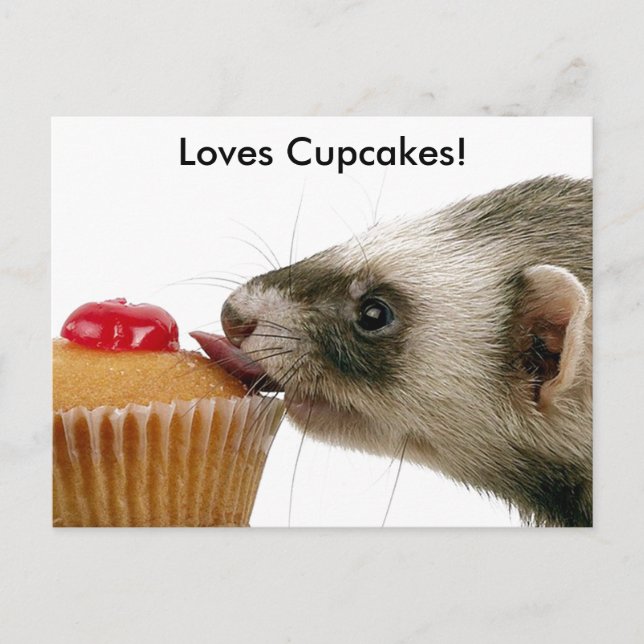 Carte Postale Ferrets Love Cupcakes (Devant)