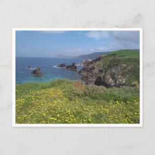 Carte Postale Ferrol, Galice (Espagne)