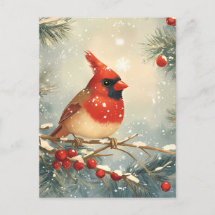 Carte Postale Festif rouge Cardinal Noël Salutation