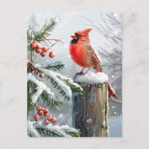 Carte Postale Festif rouge Cardinal Noël Salutation