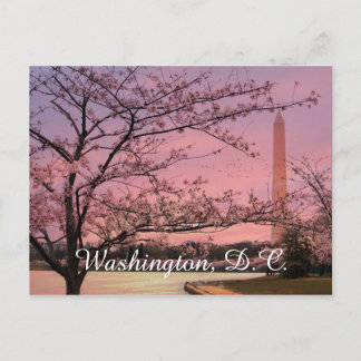 Carte Postale Festival Cherry Blossom du Monument de Washington