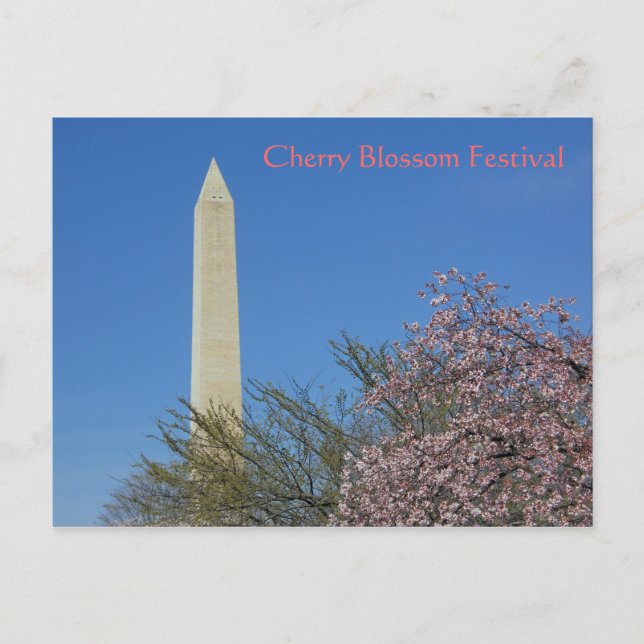 Carte Postale Festival Cherry Blossom du Monument de Washington (Devant)
