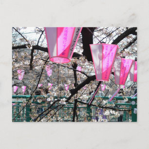 Carte Postale Festival de fleurs de cerisiers de la rivière Megu