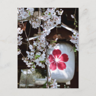 Carte Postale Festival des cerisiers en fleurs à Kyoto