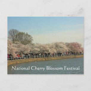 Carte Postale Festival national de fleurs de cerises Washington