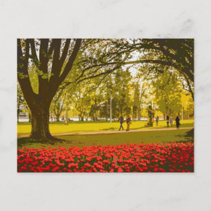 Carte Postale Festival Tulip à Ottawa