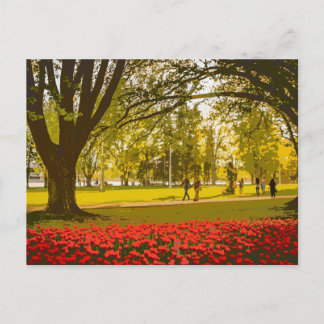 Carte Postale Festival Tulip à Ottawa