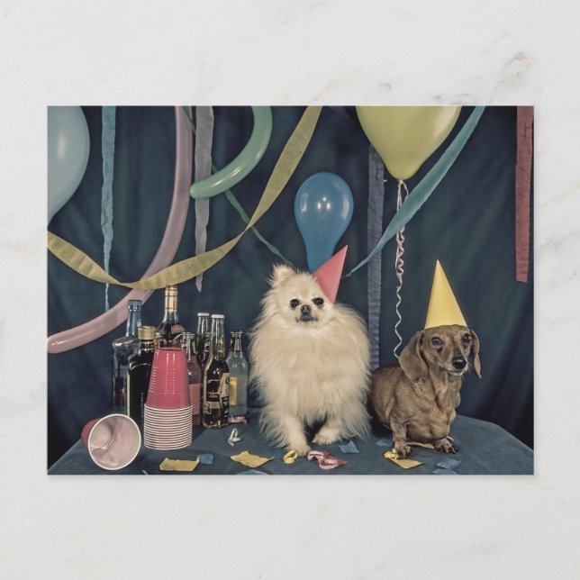 Carte Postale Fête d'anniversaire avec chiens et boissons (Devant)