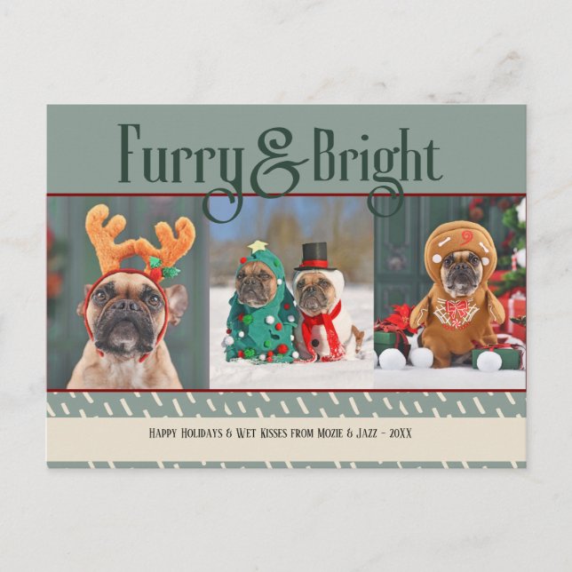 Carte postale Fête de Noël de Chien brillant et Fu (Devant)