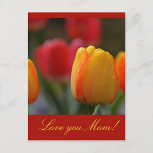 Carte Postale Fête des mères