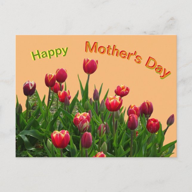 Carte postale Fête des mères de tulipes violettes  (Devant)