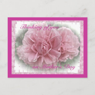 Carte Postale Fête des Mères Fleurs de Rose Escalade rose