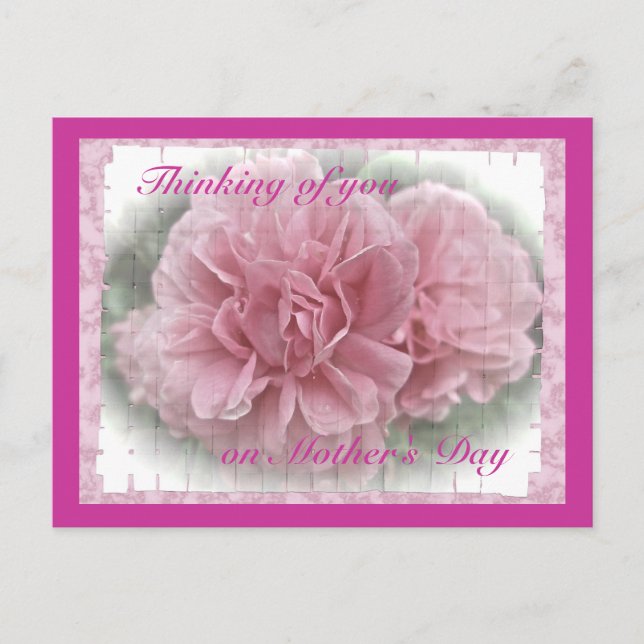 Carte Postale Fête des Mères Fleurs de Rose Escalade rose (Devant)