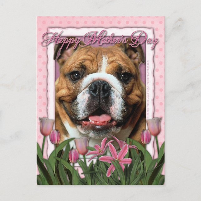 Carte Postale Fête des mères - Tulipes roses - Bulldog (Devant)