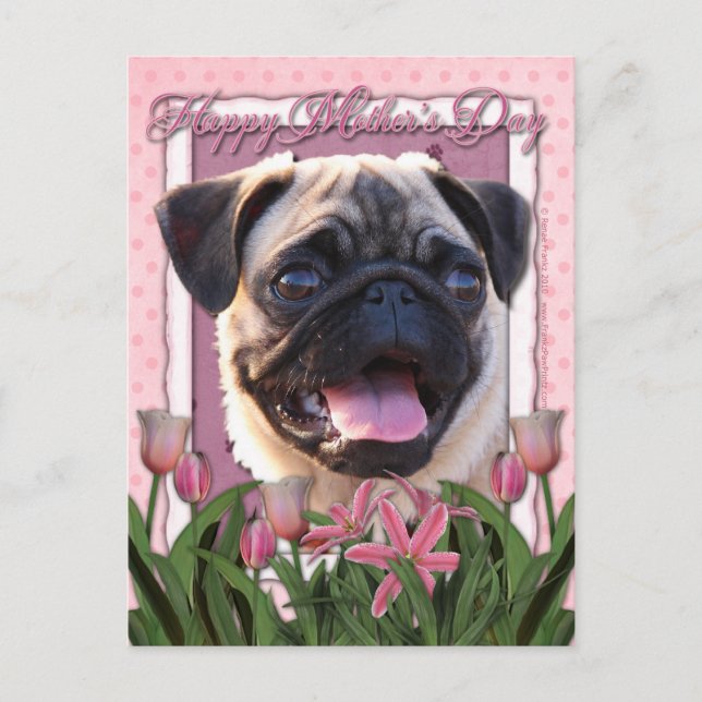 Carte Postale Fête des mères - Tulipes roses - Carlin (Devant)