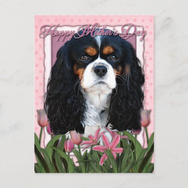 Carte Postale Fête des mères - Tulipes roses - Cavalier - Tri-Co (Devant)